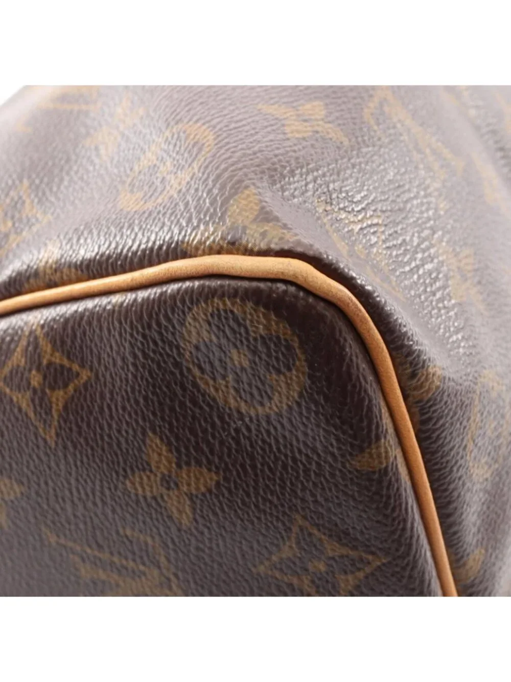 Louis Vuitton Handbag Speedy 35 Canvas Leather